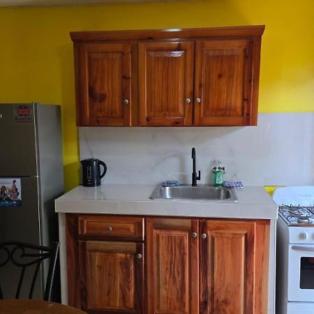 Wizzy Apartment White River Ocho Rios Exterior foto