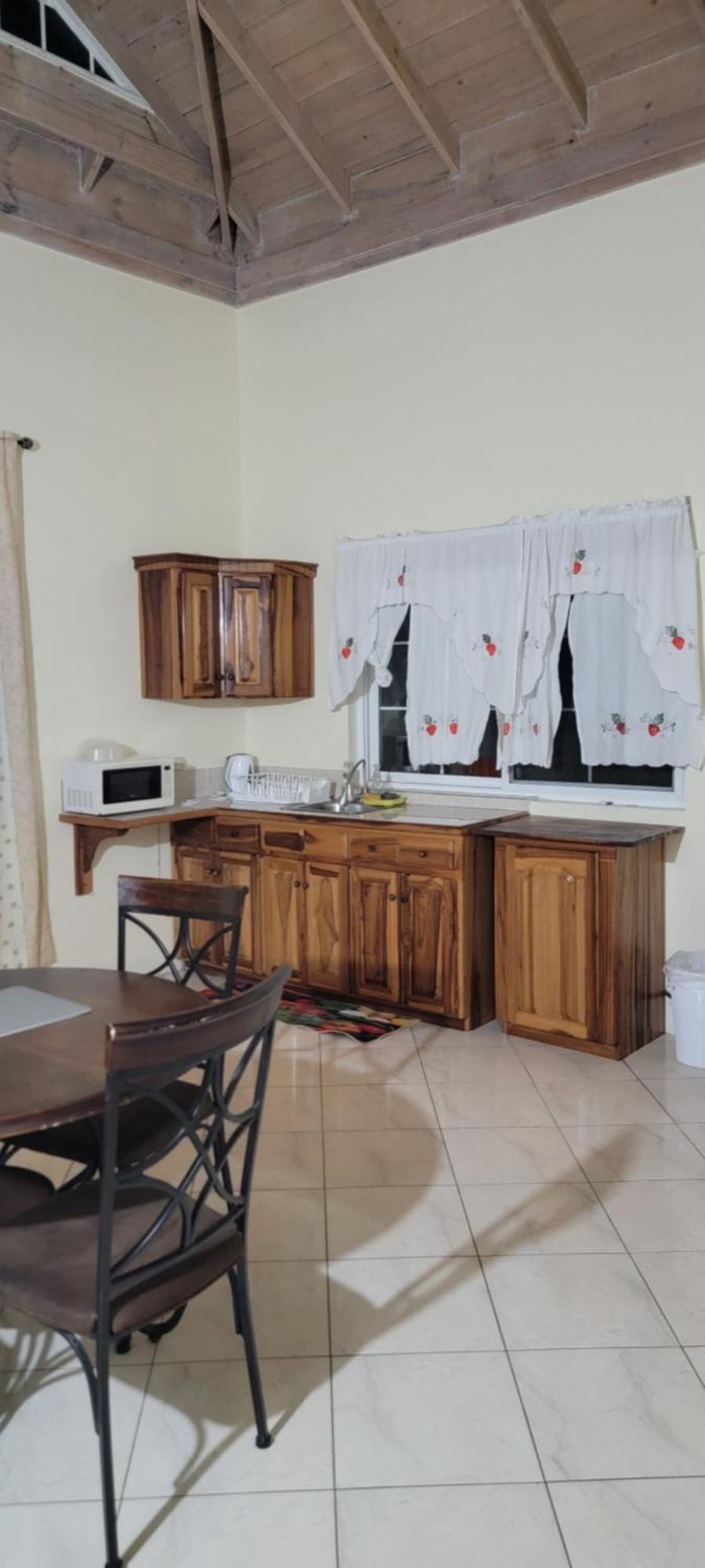 Wizzy Apartment White River Ocho Rios Exterior foto
