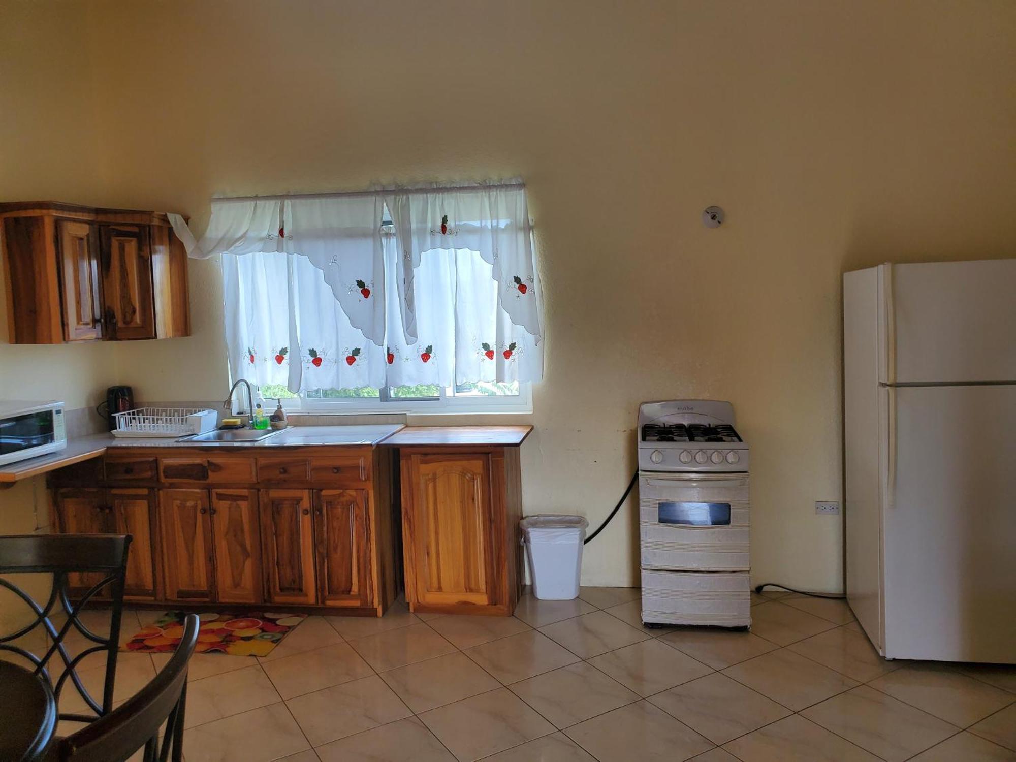 Wizzy Apartment White River Ocho Rios Exterior foto