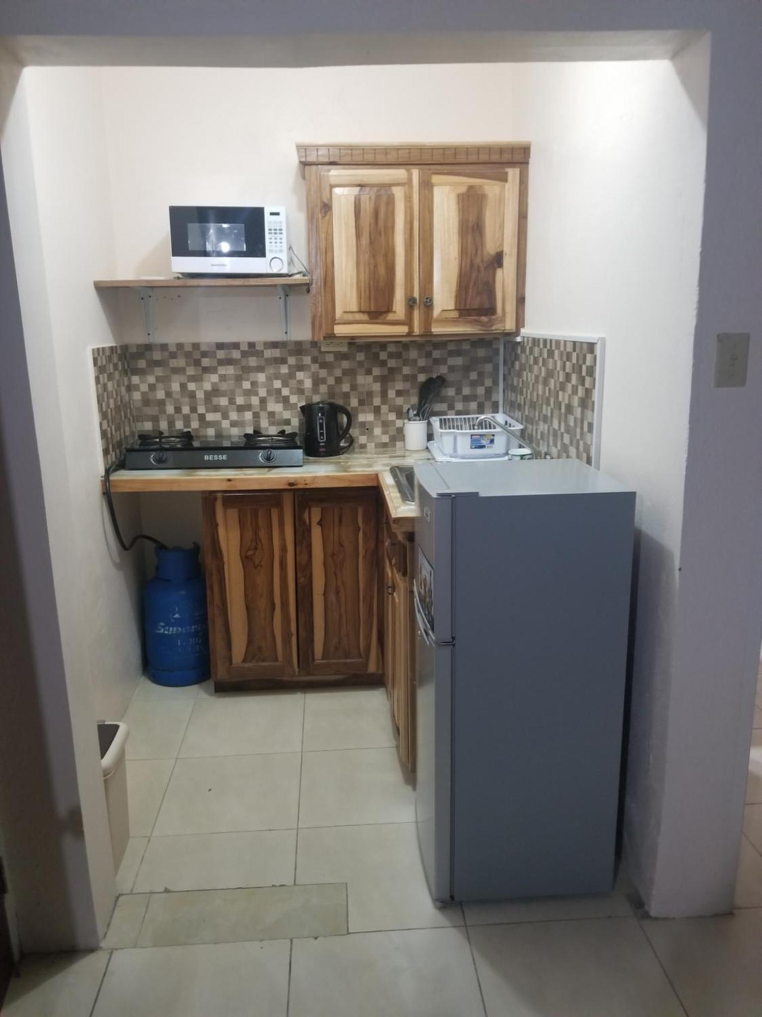 Wizzy Apartment White River Ocho Rios Exterior foto