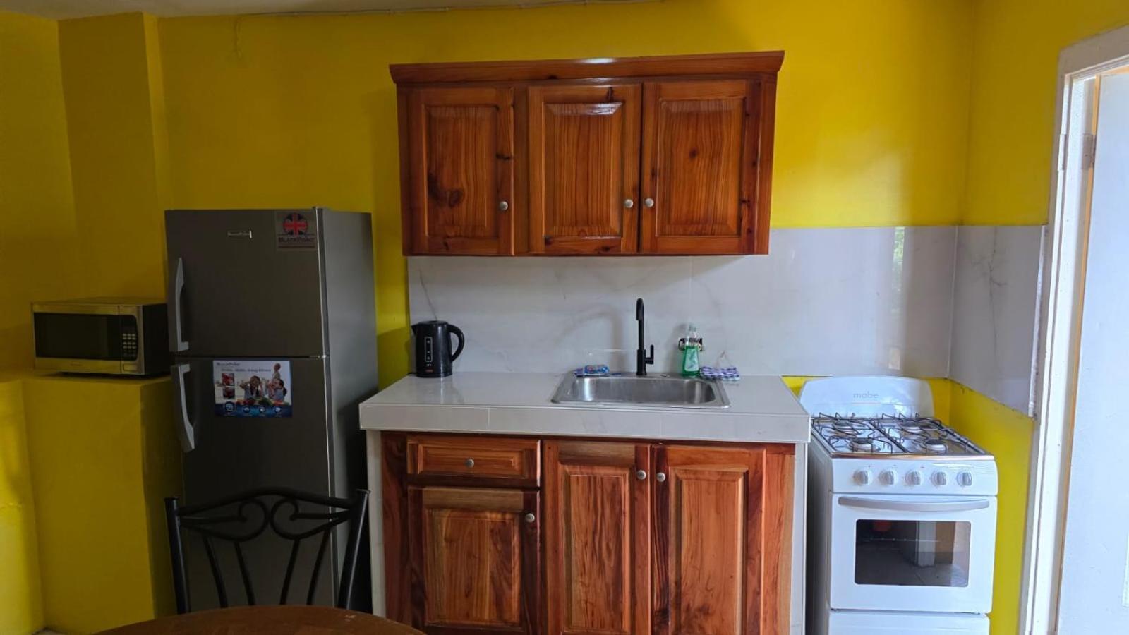 Wizzy Apartment White River Ocho Rios Exterior foto